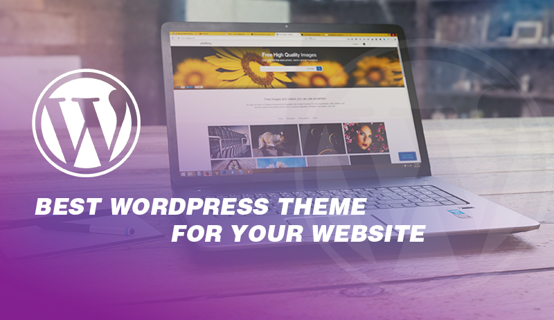 How to select the best wordpress theme for your website